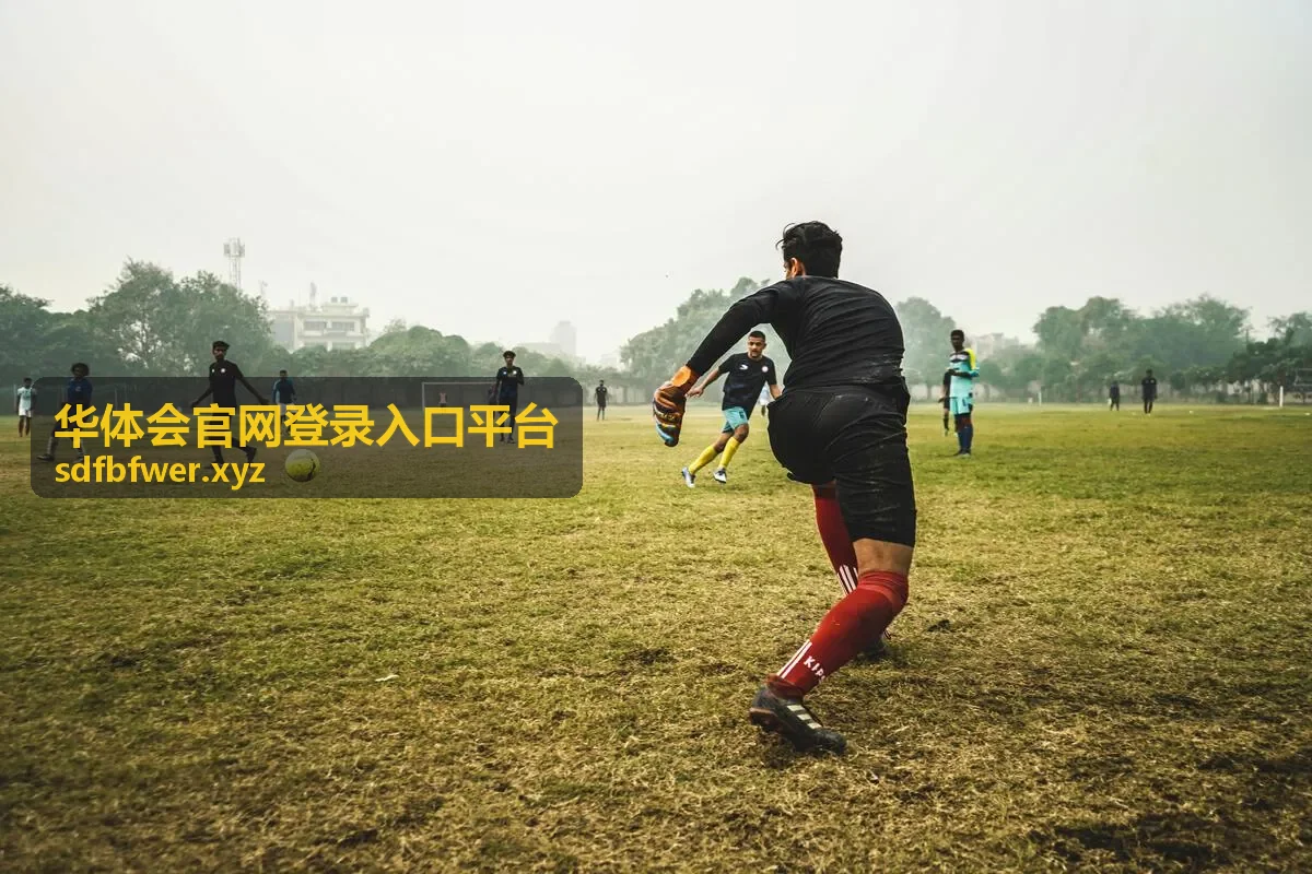 平台安全登录指南 - 华体会官网登录入口平台