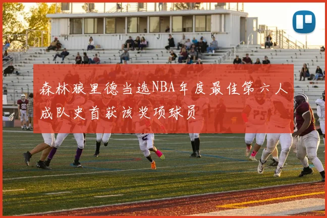 森林狼里德当选NBA年度最佳第六人成队史首获该奖项球员