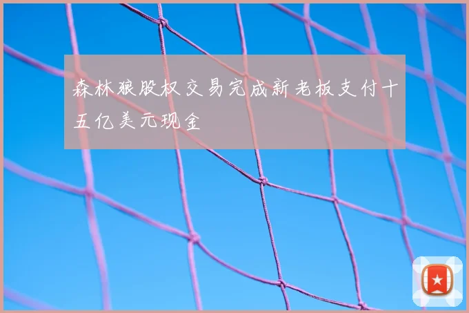 森林狼股权交易完成新老板支付十五亿美元现金