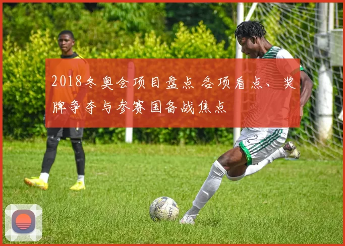 2018冬奥会项目盘点 各项看点、奖牌争夺与参赛国备战焦点