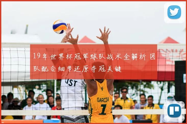 19年世界杯冠军球队战术全解析 团队配合细节还原夺冠关键