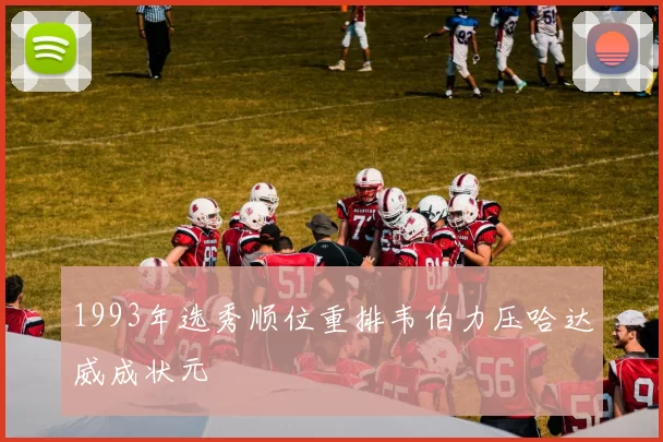 1993年选秀顺位重排韦伯力压哈达威成状元